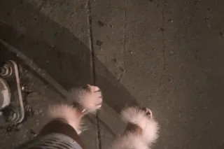 Your Sweet But Spicy Valentine... - Image 4